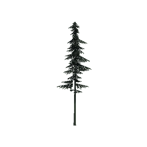 ConiferTreeBig04LOD3 (TVE Backup)